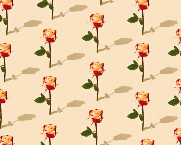 Bej arka planda renkli gül çiçeklerinden yapılmış desen. Yaratıcı bahar konsepti.