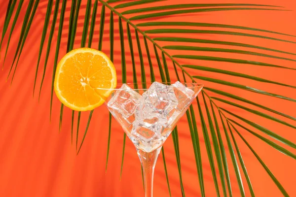Buzlu martini bardağı, portakal dilimleri ve turuncu arka planda tropikal palmiye yaprağı. Yaz içkisi konsepti.