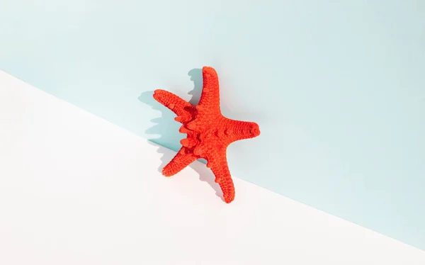 Red Starfish Pastel Blue White Background Copy Space Sunlight Summer — Foto de Stock
