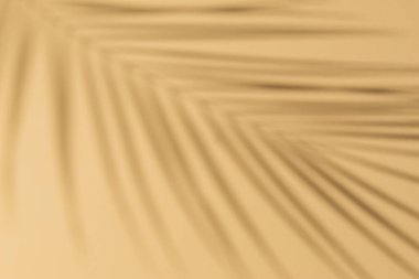 Kum rengi arka planda yeşil tropikal yaprak gölgesinin üst görüntüsü. Düz yatıyordu. Palmiye yaprağı ile en az yaz konsepti.