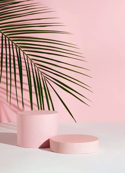 Pastel pink composition with product podium and green palm leaf. Suitable for Product Display and Business Concept. Modern aesthetic.