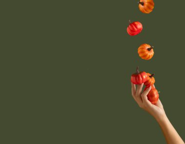 Koyu yeşil arka planda balkabaklarıyla hokkabazlık yapan güzel bir kadın eli. Sonbahar renkleri. Kopya alanı ile en az cadılar bayramı kavramı.