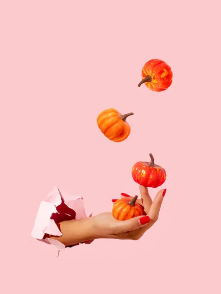 Ręka Pięknej Kobiety Żonglującej Dyniami Pastelowy Różowy Papier Podarty Sezonowe Obrazy Stockowe bez tantiem