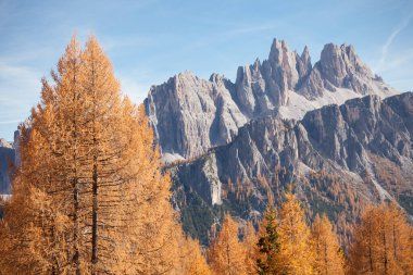 Sonbaharda Croda da Lago Dağı 'nın önündeki ormanda sarı tarlalar.