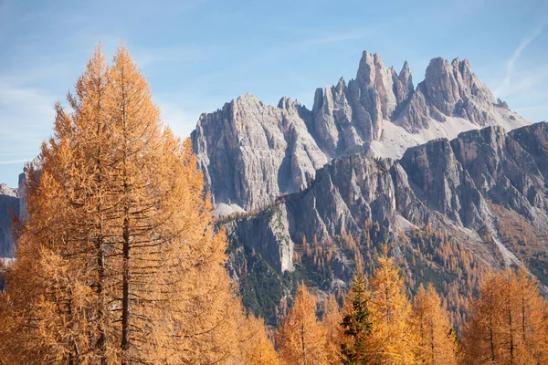 Sonbaharda Croda da Lago Dağı 'nın önündeki ormanda sarı tarlalar.