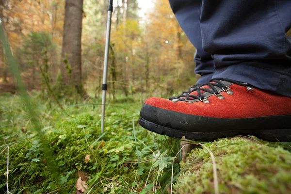 穿着红山鞋在树林里走着 — 图库照片