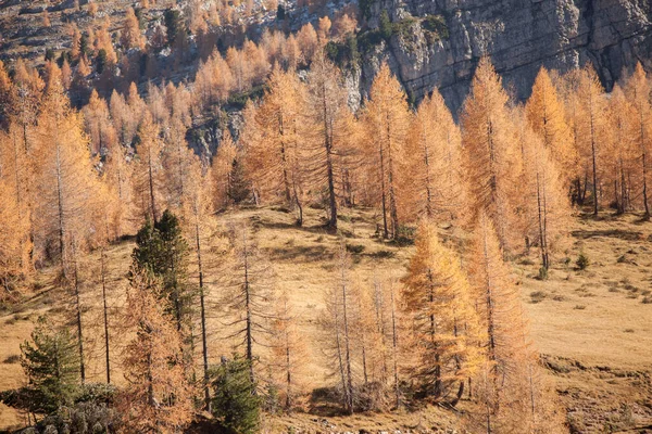 Autumnal View Dolomites — Photo