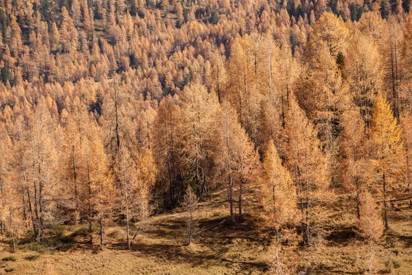 Autumnal View Dolomites — Photo