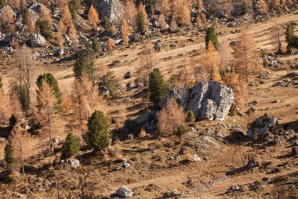 Vue Automnale Dans Les Dolomites — Photo