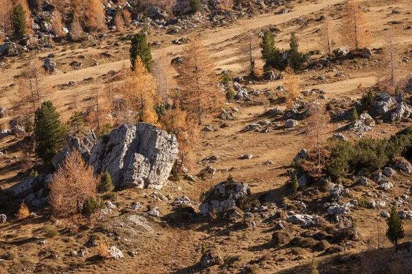 Herbstlicher Blick Die Dolomiten — Stockfoto