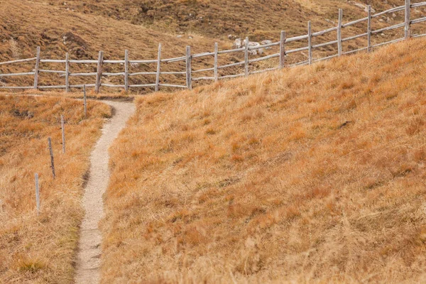 Clôture Bois Longeant Chemin Val Funes — Photo