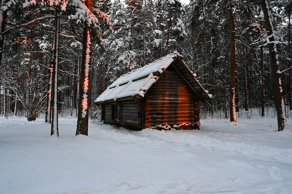 통나무 겨울에 의벽에 반사되어 — 스톡 사진
