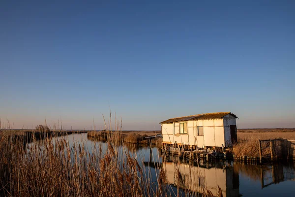 Lansargue 'deki Etang de Mauguio' da kuş koruma alanı.