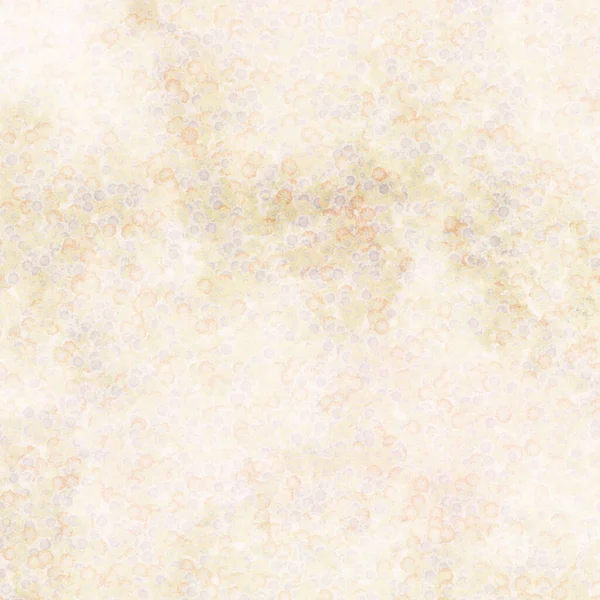 Field Nature Beige Flowers Grunge Spilled White Color Painting Wall — Foto Stock