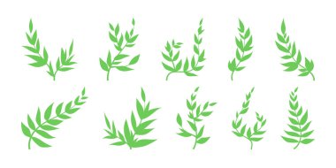 Yapraklı yeşil dallar, bahar dekoratif elementler, bitki siluetleri. Yaz ya da bahar kolajı, tasarım ya da dekor için doğal dekoratif çizimler. Davetiyeler için yeşillik dekorasyonu.