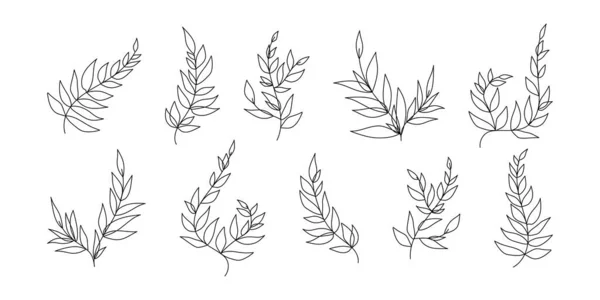 Set Line Branches Leaves Spring Decorative Elements Plant Silhouettes Natural — Vettoriale Stock