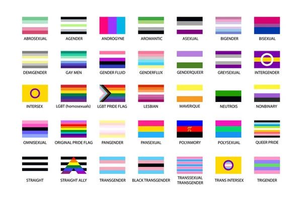 Grande Conjunto Bandeiras Comunidade Lgbtq Lgbt Pride Month Ilustrações Conceito — Vetor de Stock