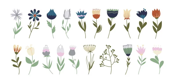 春天矢量手绘复古色彩的花朵 用于设计和装饰的一组花卉装饰元素 一套夏天和春天的扁平民花 在白色的背景上隔绝 — 图库矢量图片