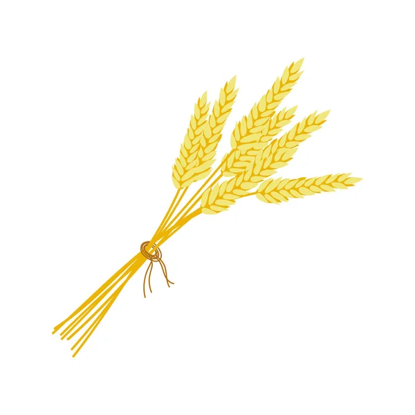 Ein Bündel Weizenähren Erntedank Herbstliche Dekorative Element Flache Vektorweizen Illustration — Stockvektor