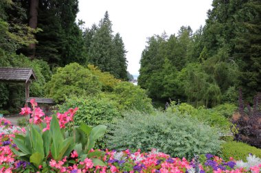 Vancouver Adası, British Columbia, Kanada 'daki Brentwood Körfezi' ndeki Butchart Garden 'da çiçek tarlaları olan bir orman manzarası. Bahçe, gezegenin en güzel köşelerinden biri olarak ünlüdür..