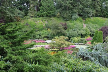 Vancouver Adası, British Columbia, Kanada 'daki Brentwood Körfezi' ndeki Butchart Garden 'da inanılmaz bitki kombinasyonları. Bahçe, gezegenin en güzel köşelerinden biri olarak ünlüdür..