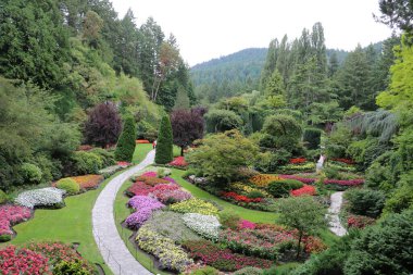 Vancouver Adası, British Columbia, Kanada 'daki Brentwood Körfezi' ndeki Butchart Garden 'da renkli bitkiler arasında dolambaçlı bir yol. Bahçe, gezegenin en güzel köşelerinden biri olarak ünlüdür..