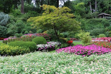 Vancouver Adası, British Columbia, Kanada 'daki Brentwood Körfezi' ndeki Butchart Garden 'da renkli çiçek yatakları. Bahçe, gezegenin en güzel köşelerinden biri olarak ünlüdür..