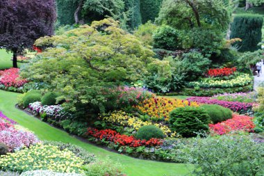 Vancouver Adası, British Columbia, Kanada 'daki Brentwood Körfezi' ndeki Butchart Garden 'da renkli çiçekli bitkiler. Bahçe, gezegenin en güzel köşelerinden biri olarak ünlüdür..