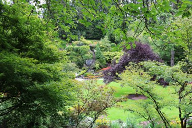 Brentwood Körfezi 'ndeki Butchart Bahçesi' ndeki orman manzarası Vancouver Adası, British Columbia, Kanada. Bahçe, gezegenin en güzel köşelerinden biri olarak ünlüdür..