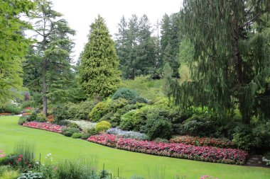 Britanya Kolumbiyası 'nın Vancouver Adası' ndaki Brentwood Körfezi 'ndeki çiçek ve ağaçların arasında tertemiz bir çim. Bahçe, gezegenin en güzel köşelerinden biri olarak ünlüdür.