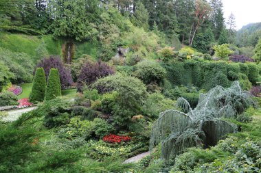 Vancouver Adası, British Columbia, Kanada 'daki Brentwood Körfezi' ndeki Butchart Garden 'daki bitki çeşitliliği. Bahçe, gezegenin en güzel köşelerinden biri olarak ünlüdür..