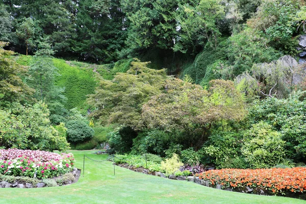 Brentwood Körfezi, Vancouver Adası, British Columbia, Kanada 'daki Butchart Garden' daki bitkilerin zarif kompozisyonları. Bahçe, gezegenin en güzel köşelerinden biri olarak ünlüdür..
