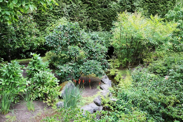 Grosellas Similares Selva Butchart Garden Isla Vancouver Canadá Jardín Famoso — Foto de Stock