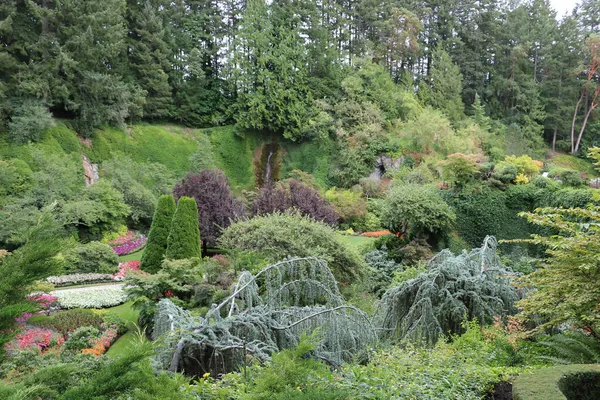 Vancouver Adası, British Columbia, Kanada 'daki Brentwood Körfezi' ndeki Butchart Garden 'daki bitki çeşitliliği. Bahçe, gezegenin en güzel köşelerinden biri olarak ünlüdür..