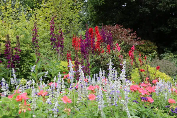 Flores Maravilhosas Butchart Garden Brentwood Bay Vancouver Island British Columbia — Fotos gratuitas