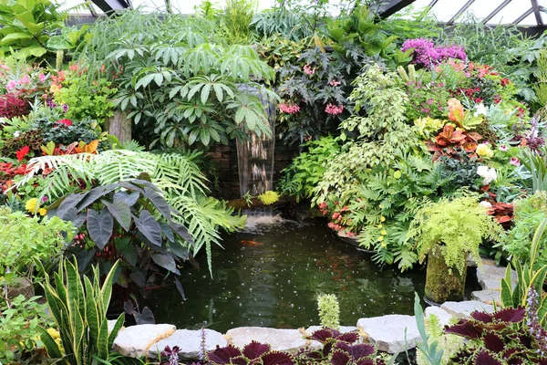 Cozy Corner Garden Old Pond Surrounded Bright Flowers Luxurious Shrubs — Stock fotografie