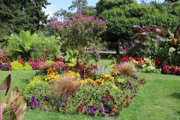 美しい植物の信じられないほどの多様性 キャスター ツツジ ペチュニアや他の庭の花は調和のとれた風景を作成します — ストック写真