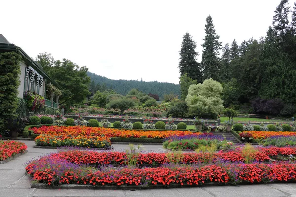 Colorful Flowerbeds Flowering Plants Butchart Garden Delight Residents Early Spring — стокове фото