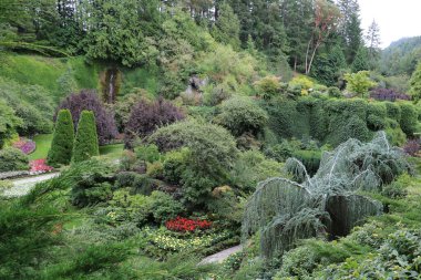 Vancouver Adası, British Columbia, Kanada 'daki Brentwood Körfezi' ndeki Butchart Garden 'daki bitki çeşitliliği. Bahçe, gezegenin en güzel köşelerinden biri olarak ünlüdür..