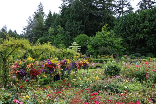 ブチャート ガーデンズ カナダは 世界で最も美しく美しいコーナーの1つです 今では花のショーであり 世界の景観デザインの傑作の1つです — ストック写真
