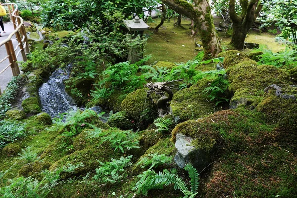 Stone jungle in the Butchart Garden, Vancouver Island, Canada. The garden is famous as one of the most beautiful corners of the planet. In the photo: moss-covered boulders surrounded by ancient trees