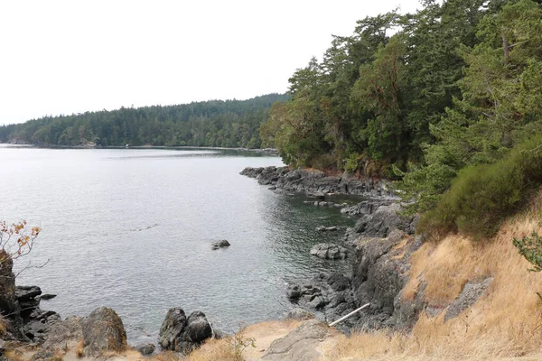 Beaver Lake Bowels Stanley Park Seems Uninhabited All — 스톡 사진