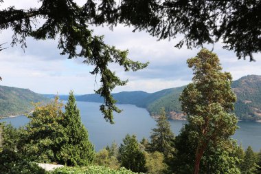 Vancouver Körfezi 'nin ağaçların dallarından panoramik manzarası