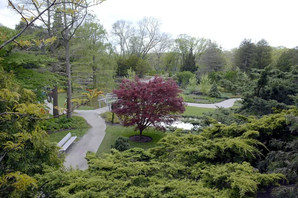 Vista Panorámica Del Real Jardín Botánico Burlington Ontario Canadá Centro — Foto de Stock