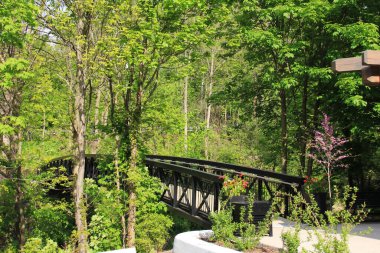 Burlington, Ontario 'daki Royal Botanik Bahçesi' nde bir derenin üzerinde romantik bir köprü.