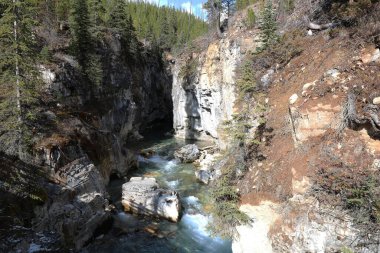 Dağ deresi, kozalaklı ormanlarla kaplı görkemli kayalar arasında savunmasız görünüyor.