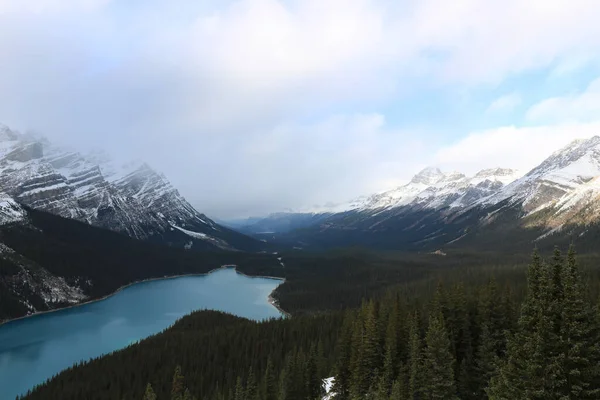 Panoramic View Snow Capped Mountains Alberto Blue Lake Coniferous Forest — Stock Photo, Image