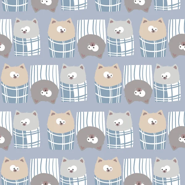 Pattern Blue Background Three Cats Looking Everyone — Stock Photo, Image