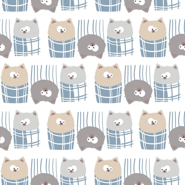 Pattern Three Cats Look Each Other — Stock Photo, Image