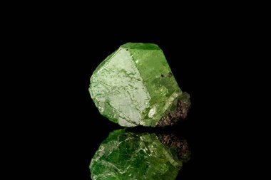 Siyah arkaplanda makro mineral taşı Demantoid